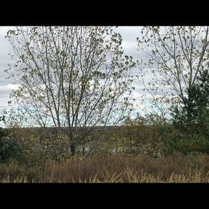 Meet your Posher, Leanne